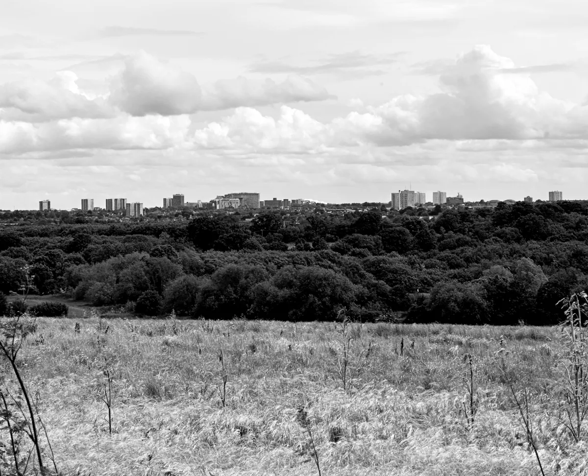 Southend-on-Sea from an elevated perspective in Rochford - the bigger picture view